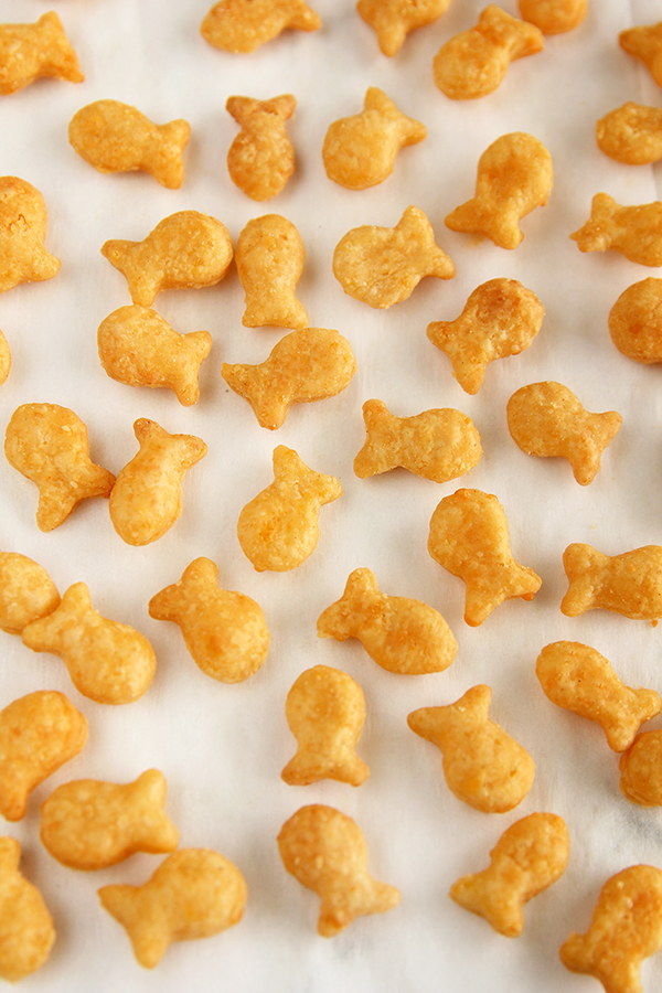 קרקר דגים בטעם צ'דר 