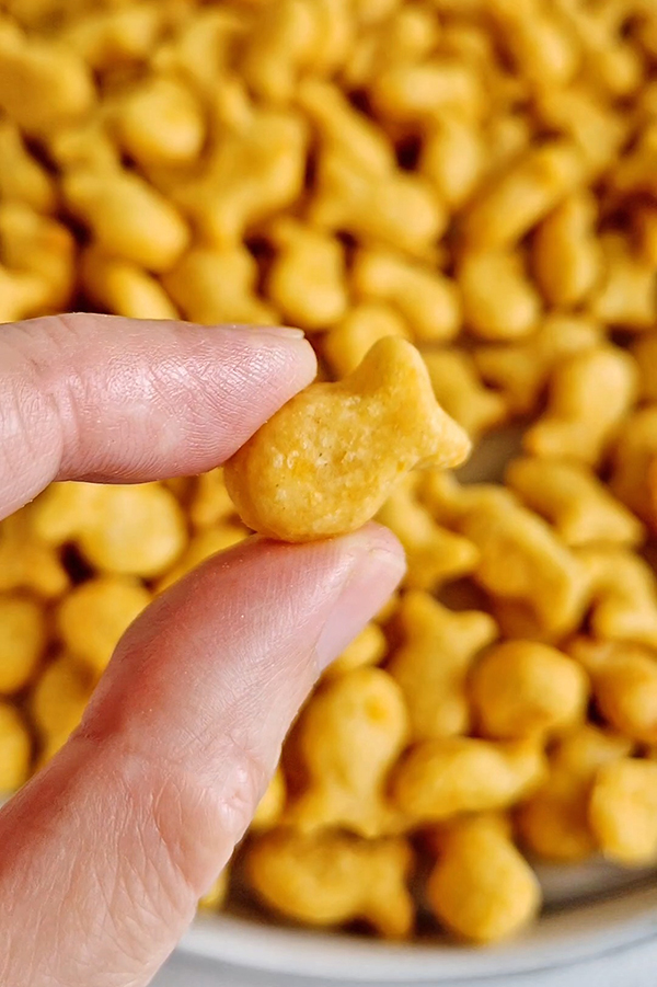 קרקר דגים בטעם צ'דר 