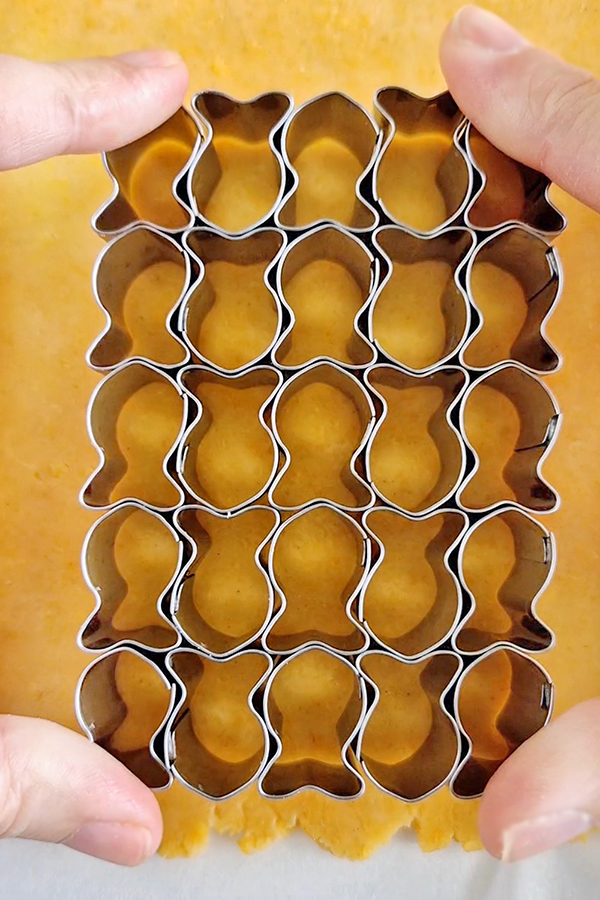 קרקר דגים בטעם צ'דר (קטנטנים וממכרים)